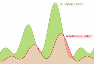 Aus Wikipedia: Ruber-Beute-Beziehung